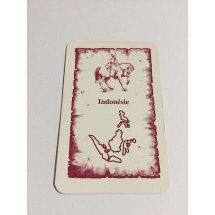 Carte Indonésie pièce détachée jeu de société Risk la conquête du monde Parker #A54