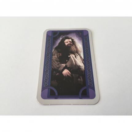 CARTE HAGRID PIÈCE DÉTACHÉE LABYRINTH HARRY POTTER RAVENSBURGER